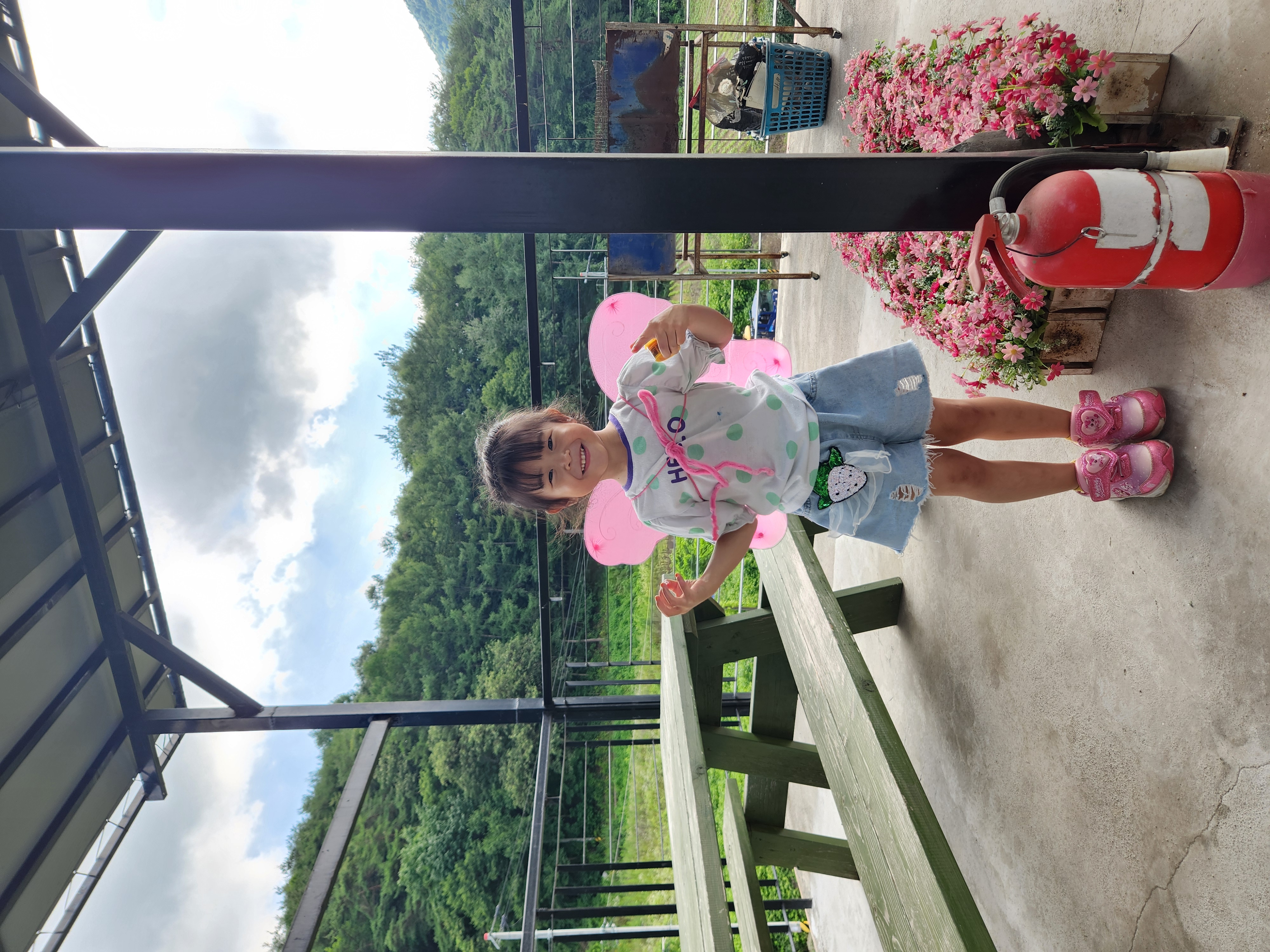 나비야 날아라